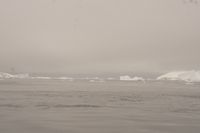 
DSC00186